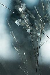 《勇者斗恶龙：创世小玩家》已在Steam发售 售价198元